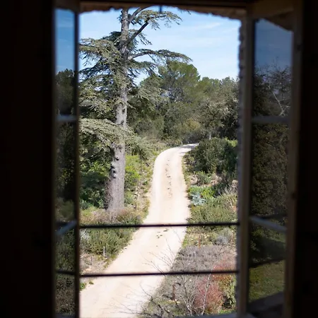 Commanderie De Peyrassol- Bastide De La Rouviere